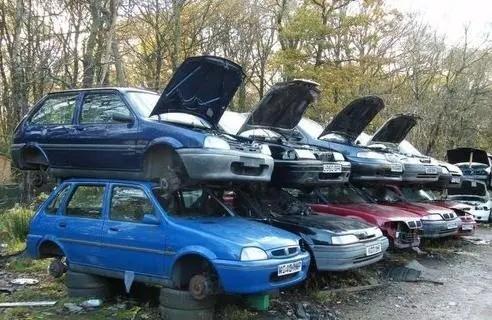 1703556535879275.jpeg c4f8e9451cbc6fb7b52e1a669cc4177e.jpeg